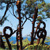 wwf-photo-challenge