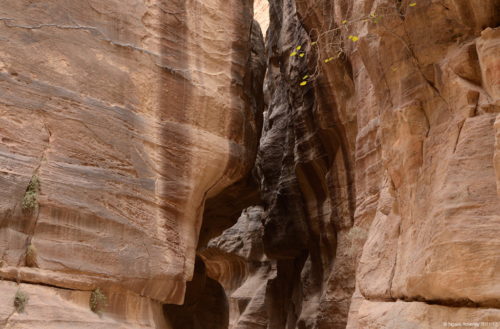 Canyon, Petra, Jordan