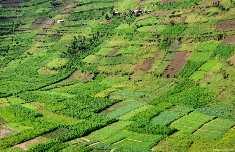 Countryside farms, Uganda.