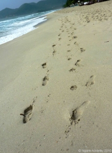 Footprints in the sand, Koh Samui, Thailand.