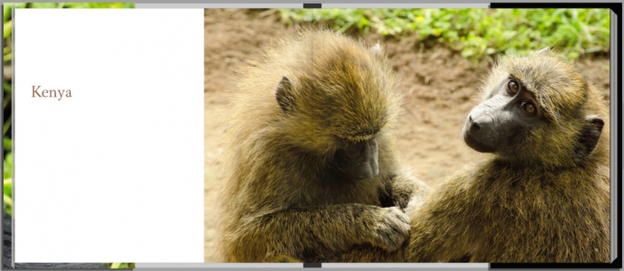 Footprints through East Africa - Kenya intro page, with baboons