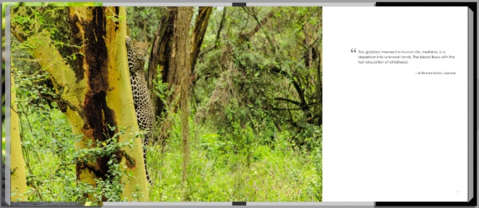Footprints through East Africa - Kenya, leopard