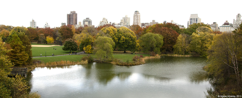 Central Park, New York, USA