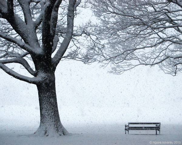 Lone park bench in the snow, London, England.