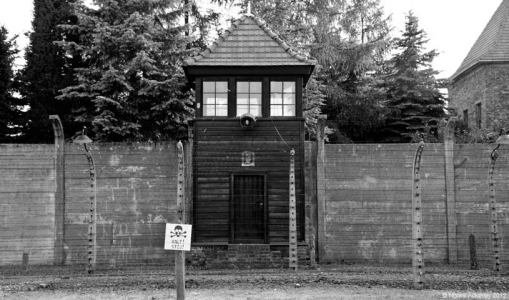 Auschwitz-Birkenau. Poland