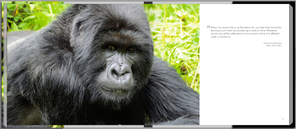 Footprints through East Africa - Rwanda gorilla