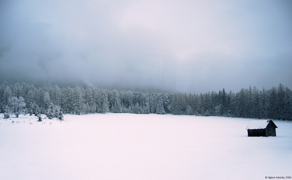 Snow, Bavaria.
