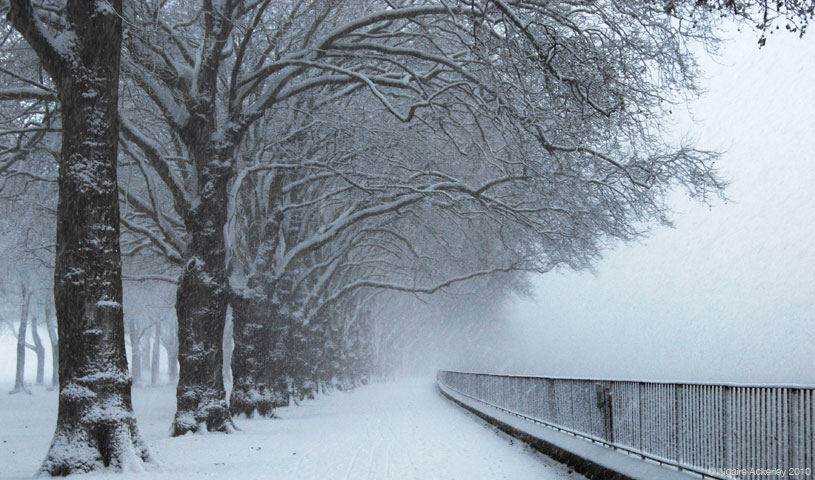 Snowy path, London, England.